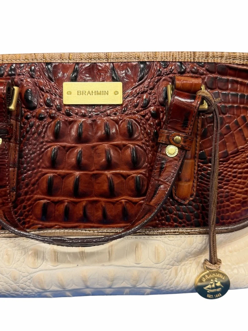 Brahmin structured croc